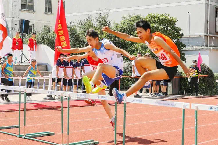 体育运动网球拍子是什么